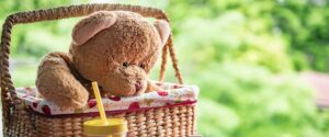 Adoption Matters Teddy bears picnic